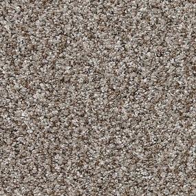 Innate Elements - Driftwood Swatch