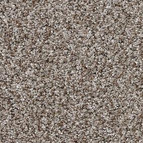 Driftwood Zoomed Swatch