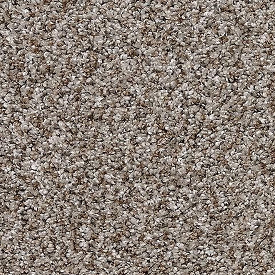 Driftwood Zoomed Swatch