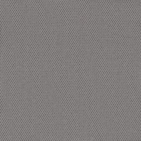 Celestial Silver Swatch