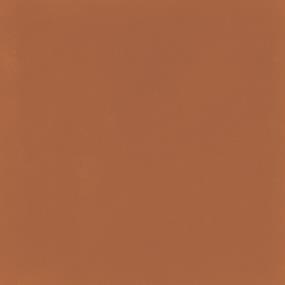 Tangerine Matte Swatch Thumbnail
