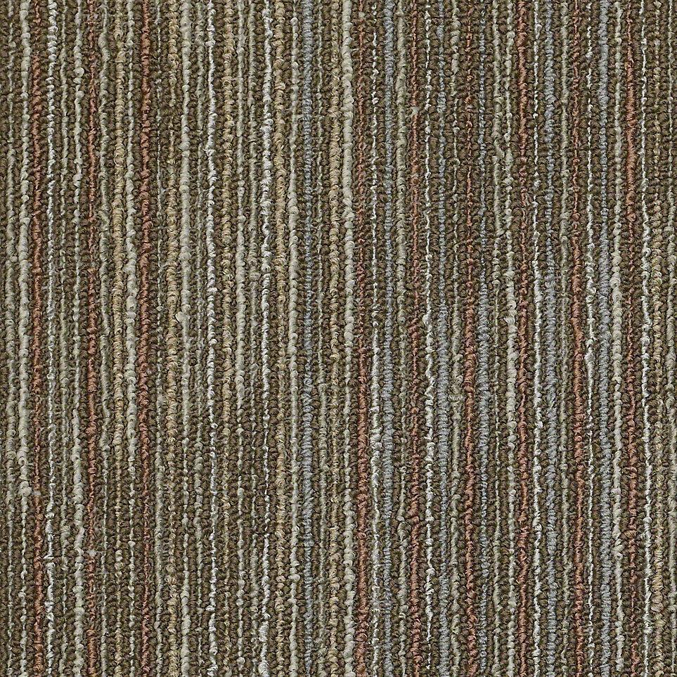 Switch Zoomed Swatch
