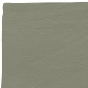 Kale Zoomed Swatch