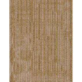 Assortment TL - Momentum Swatch