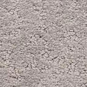 Classic Demeanor - Nickel Swatch