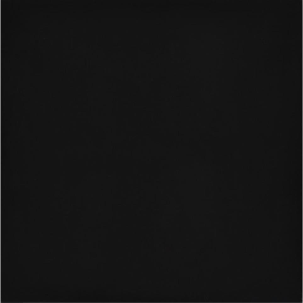 Times Square Matte 24X24 by Emser Tile, LLC - Black