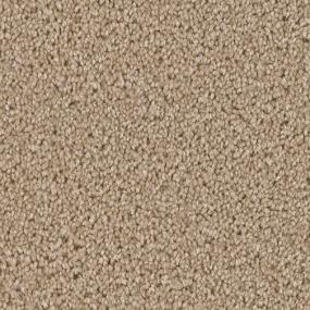 Camel Swatch Thumbnail