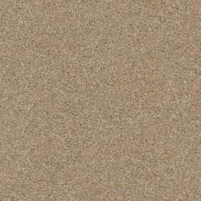 Big Dog - Corgi Swatch