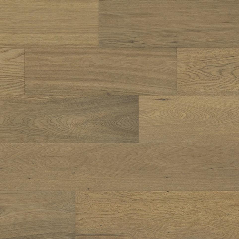 East Coast Trail Urban Swatch