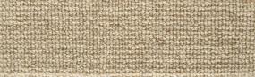 Forester - Pebble Swatch