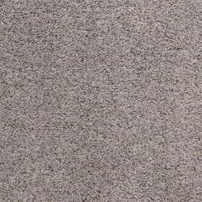 Pacific Grove - Seal Grey Swatch