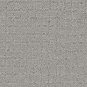 Greyhound Zoomed Swatch