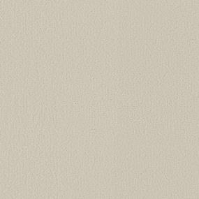 Sweet Cream Swatch Thumbnail