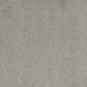 Silver Coin Swatch Thumbnail