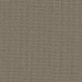 Bubble Wish - French Market Swatch