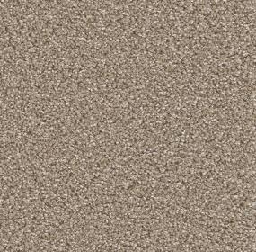 Acorn Swatch Thumbnail