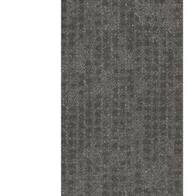 Pewter Zoomed Swatch