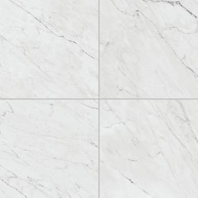 Marble Attache Lavish Square 24X24 MT - Diamond Carrara Matte Swatch