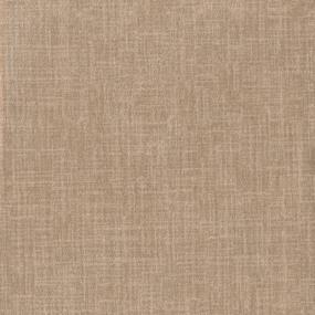 Classico Dfb - Fiddlehead Swatch