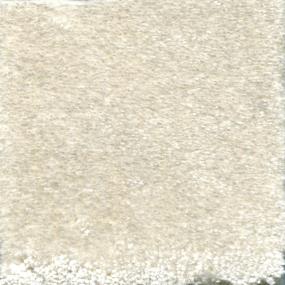Avorio