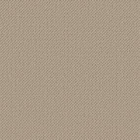 Barista Swatch Thumbnail