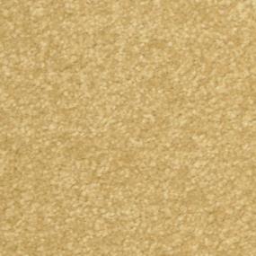 Sudbury Zoomed Swatch
