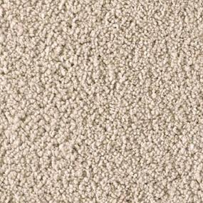 First Choice Zoomed Swatch