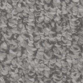 Cardigan 1200 - Fp034 - Tundra Swatch