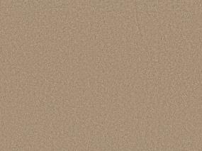 Brass Rings II - Energy Swatch