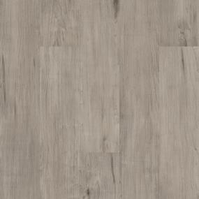 Ash Gray Swatch