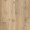 Coventary Oak by Floorcraft - Alder