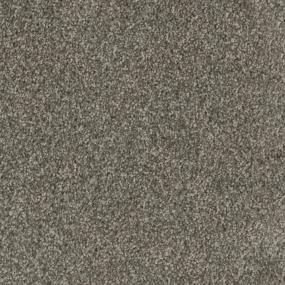 Trendsetter II - New Haven Swatch