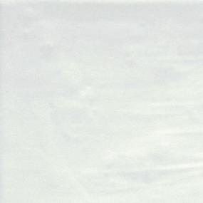 Blanco Zoomed Swatch