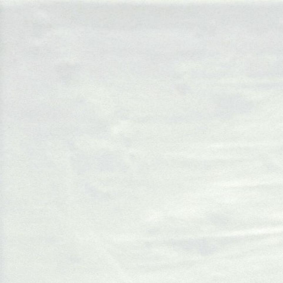 Blanco Zoomed Swatch