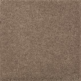 Natural Splendor II - Cat-Tail Swatch