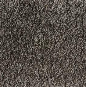 Shaggy Plush - Shadow Swatch