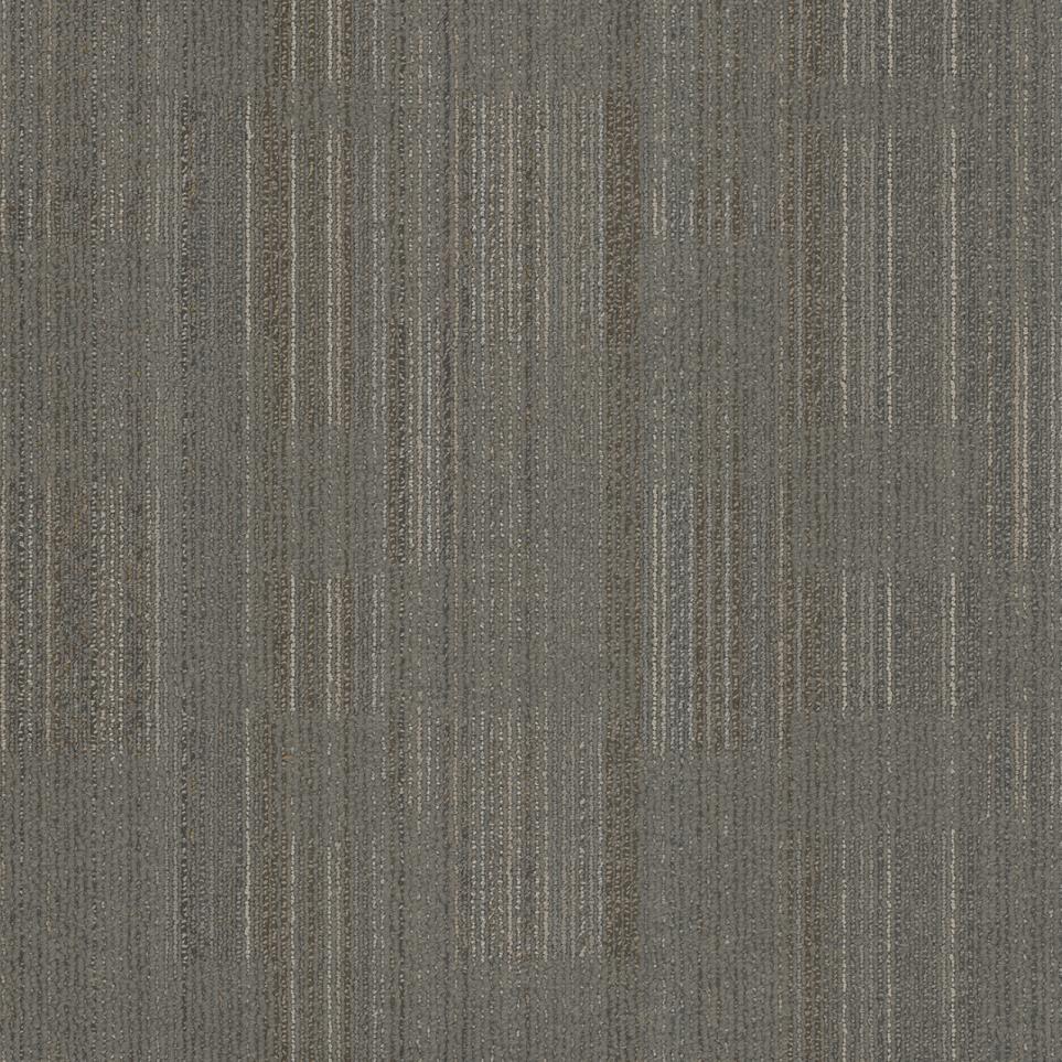 Erasmus TL Swatch