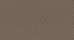 Camp Trail I - Fruitwood Swatch
