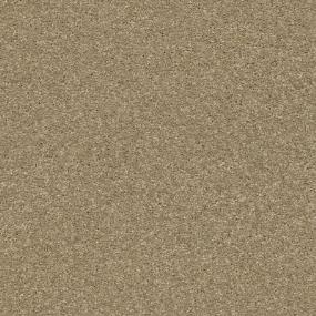 Basic Rules - Gold Rush Swatch