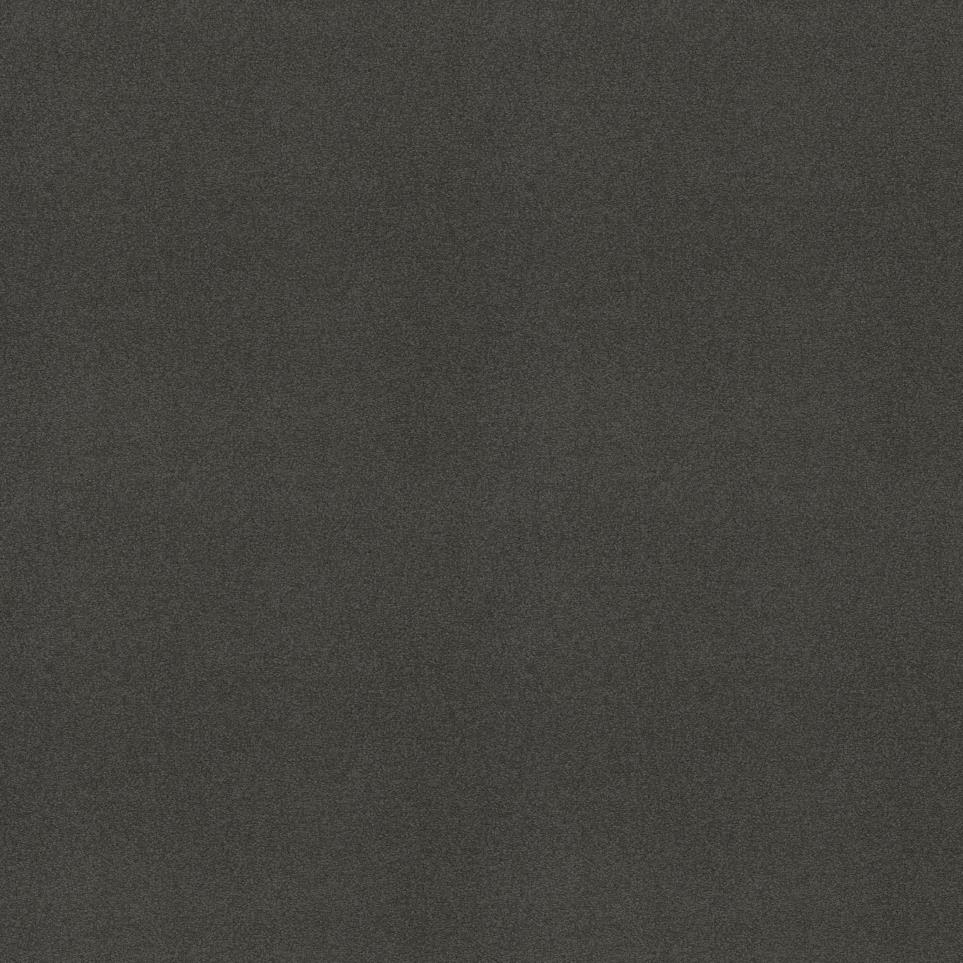 Midnight Shade Swatch