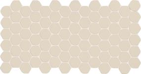 Keystones Organic Hexagon 2 Dm 12X24 MT Grp2 - Almond Matte Swatch