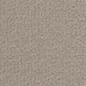 Savant - Deblois Swatch