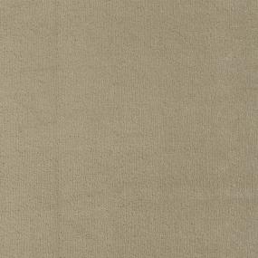 Vivid Clear - Light Mocha Swatch
