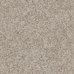 Chinchilla Zoomed Swatch