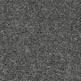 Dragonfly Zoomed Swatch