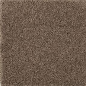 Natural Splendor II - Nutmeg Swatch