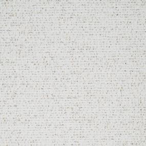 Notion Zoomed Swatch