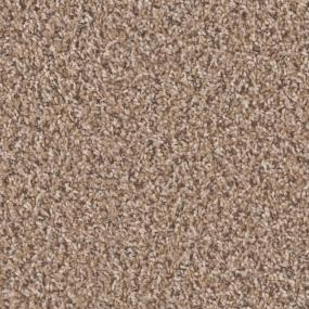 Toast Of The Town - Briarwood Swatch