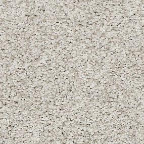 Silver Fox Zoomed Swatch