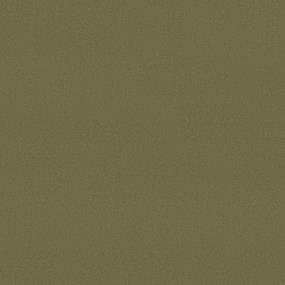 Modern Sophistication - Tree Moss Swatch